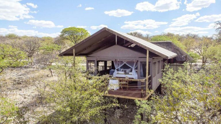 Tented room on a raised timber deck among bush at Eagle Tented Lodge and Spa