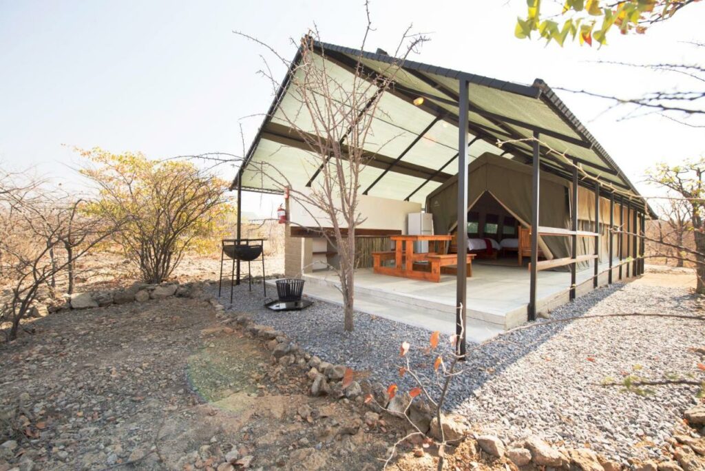 Etosha Camping for First-Time Safari Travellers