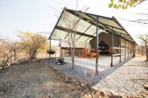 Etosha camping for first-time safari travellers
