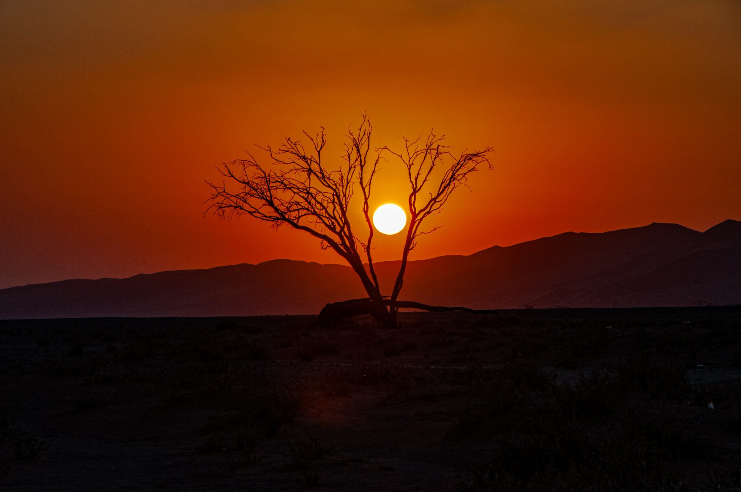 The Otavi area on the eastern approach to Etosha