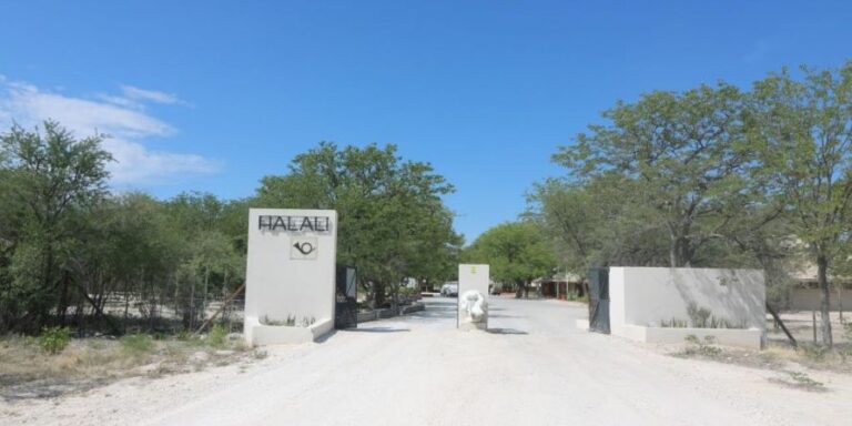 Halali