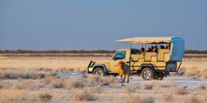 Etosha safari planning at Okaukuejo Camp