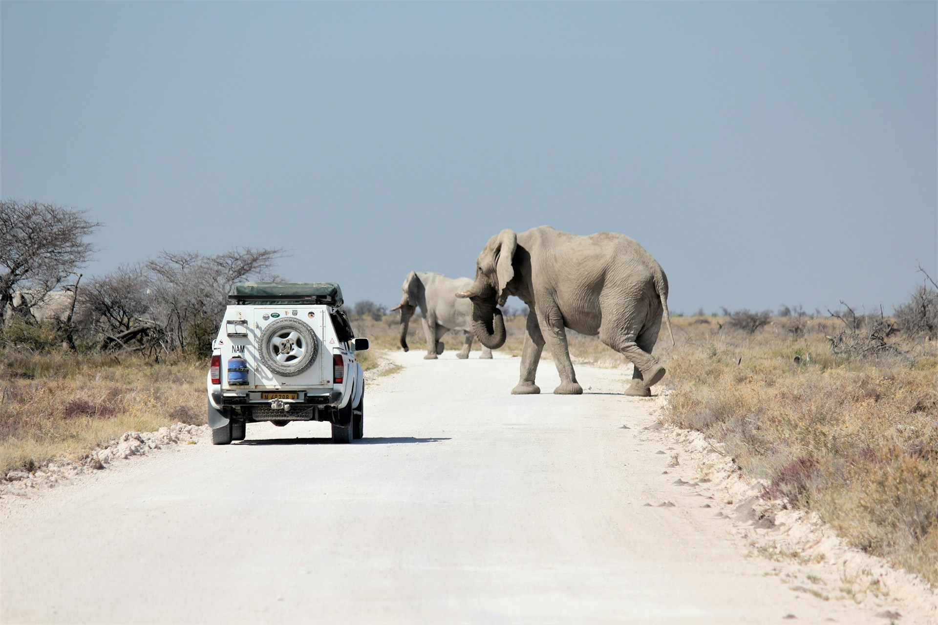 Two-Wheel Drive or Four-Wheel Drive for an Etosha Safari?