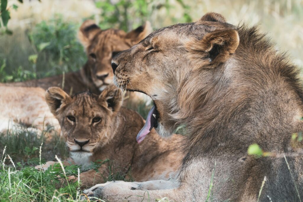 etosha month by month