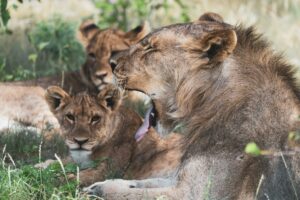 etosha month by month