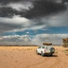 Etosha National Park Safari Guide: Waterholes, Wildlife and Practical Planning