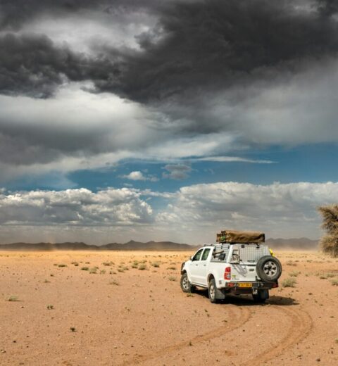 Best time to visit Namibia with Etosha wildlife during the dry season