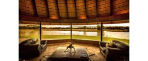 Okaukuejo Waterhole after dark viewing strategy