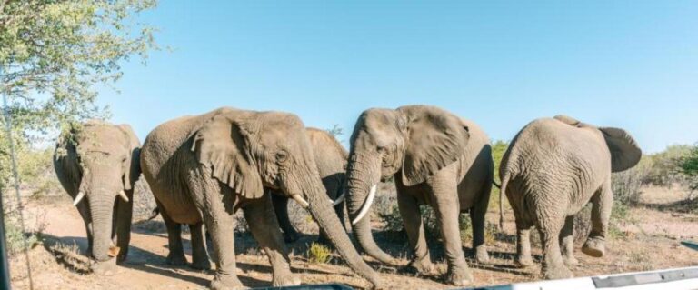 Omaruru Game Lodge