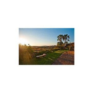 Palmwag Lodge - garden and grounds at sunset, Kamanjab Area, Namibia