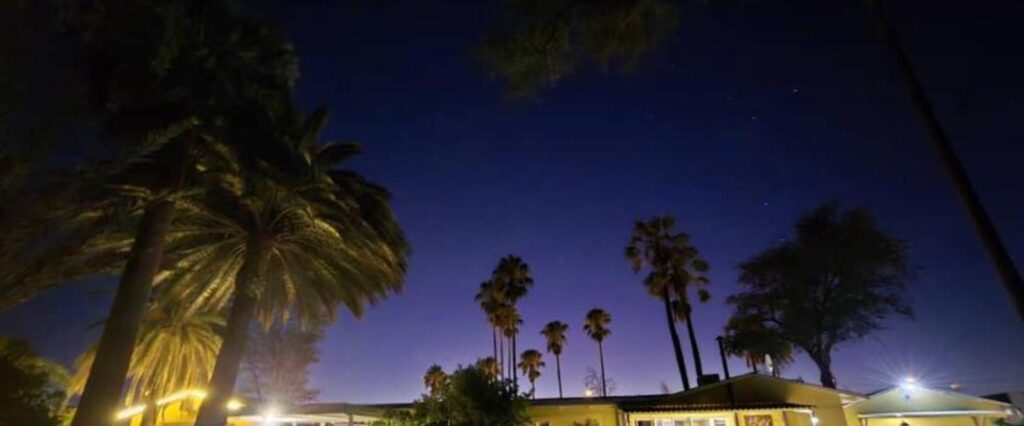 Vogelsang Guesthouse exterior view at night with mature palm trees, Omaruru, Namibia