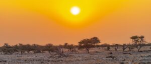 Dry-season morning sunrise near Okaukuejo in Etosha