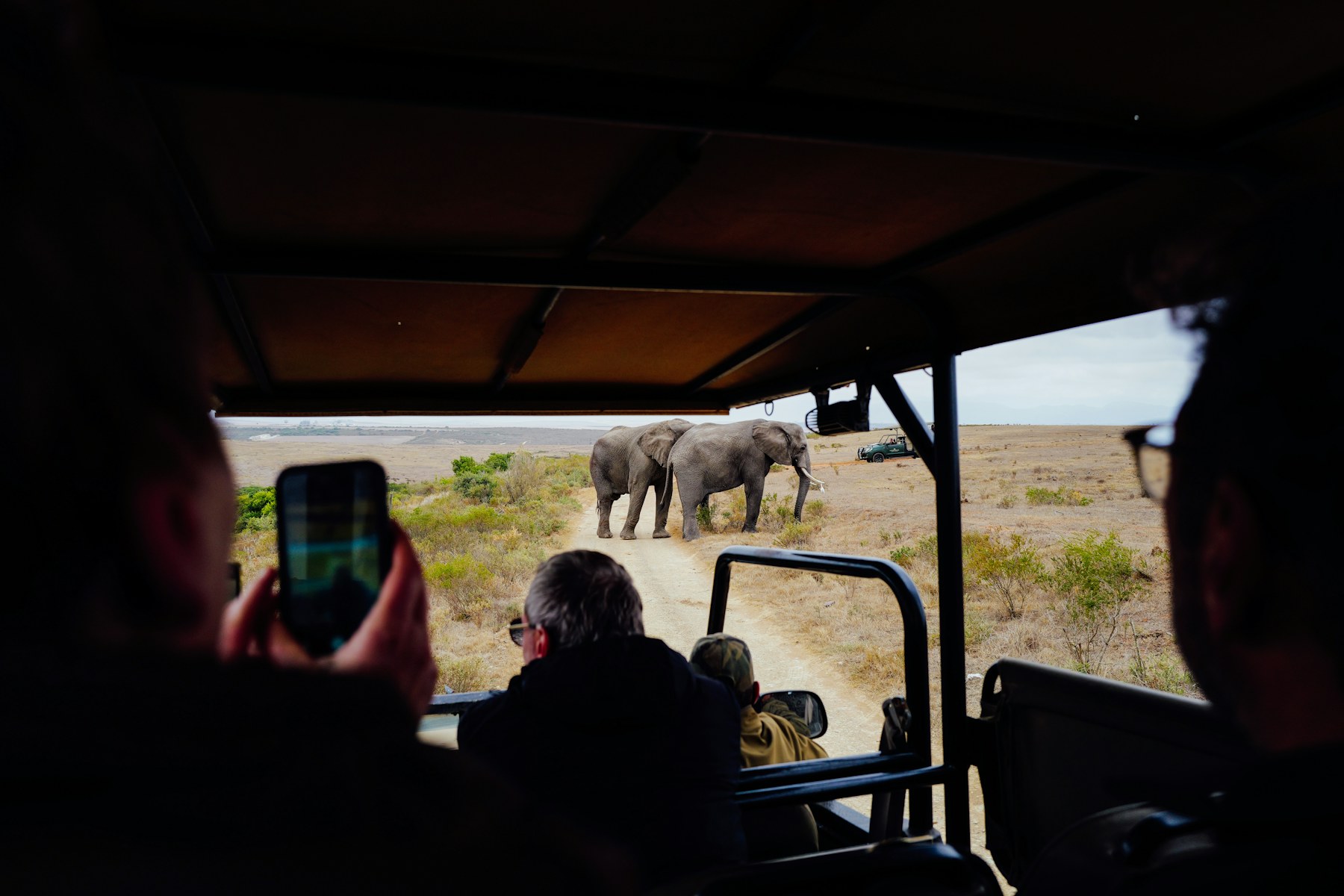 Travellers using phone photography in Etosha from a safari vehicle