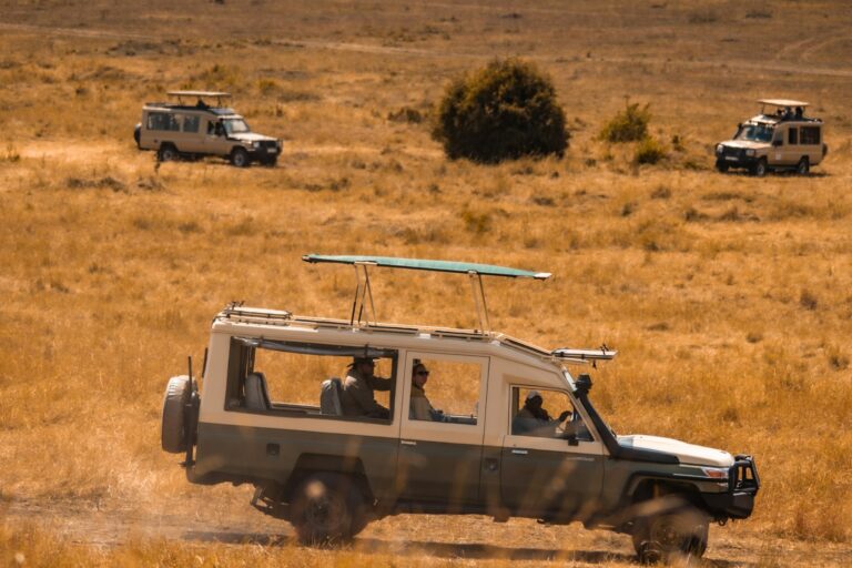 Which vehicle?