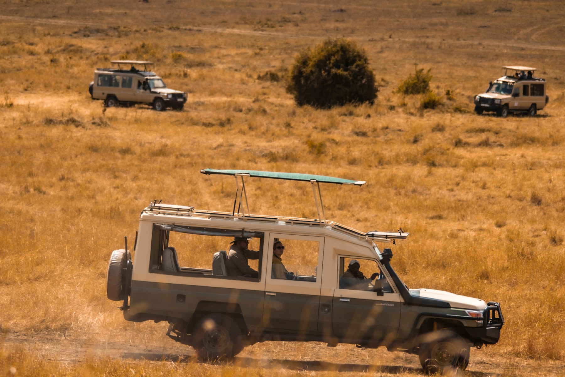 Etosha self-drive vehicle crossing dry safari grassland