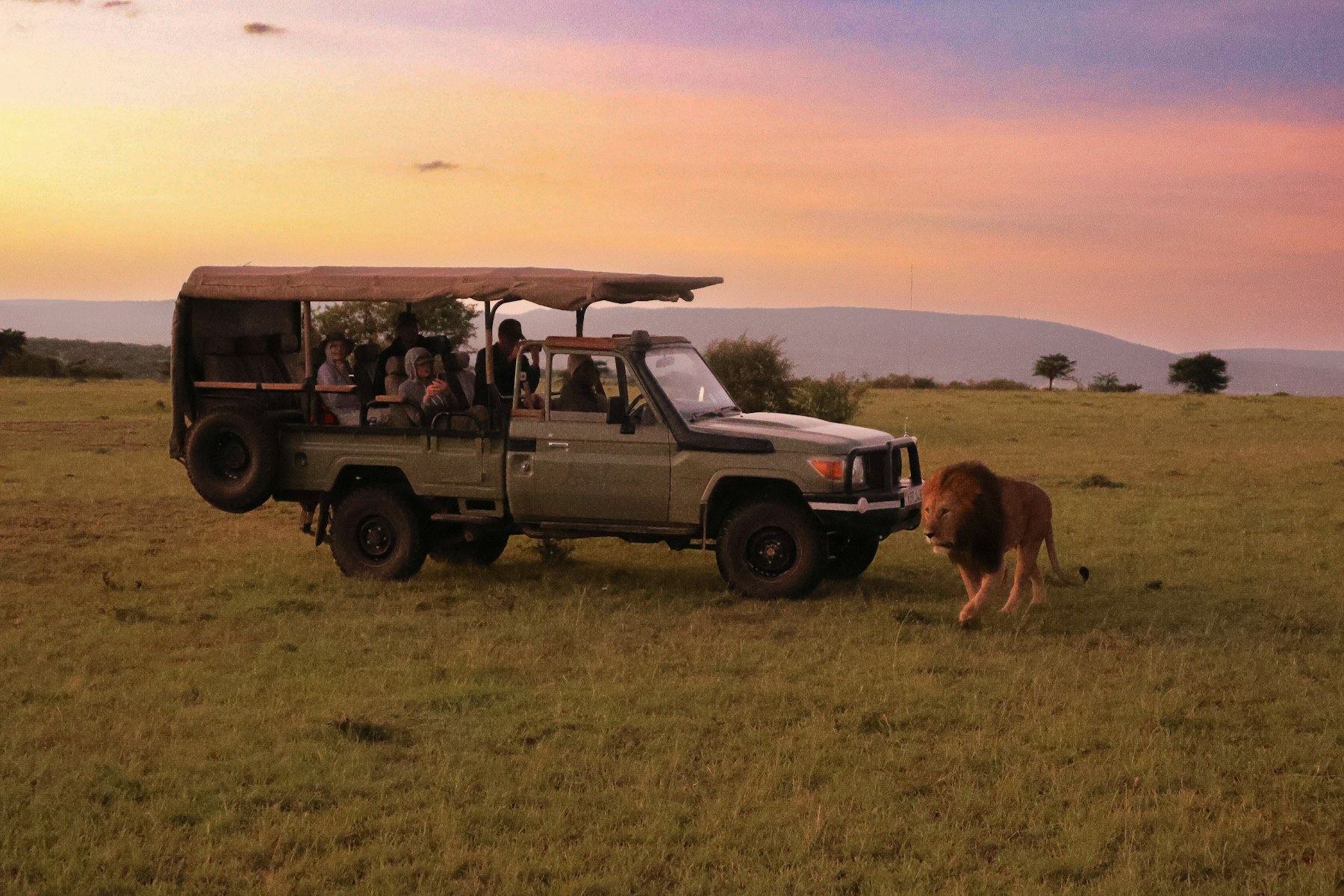 Family safari vehicle during wildlife waits with children