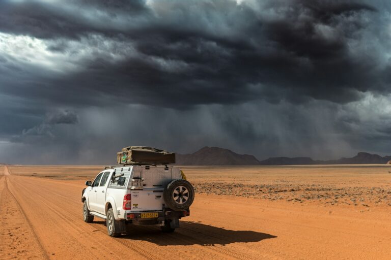 King Nehale / North Etosha