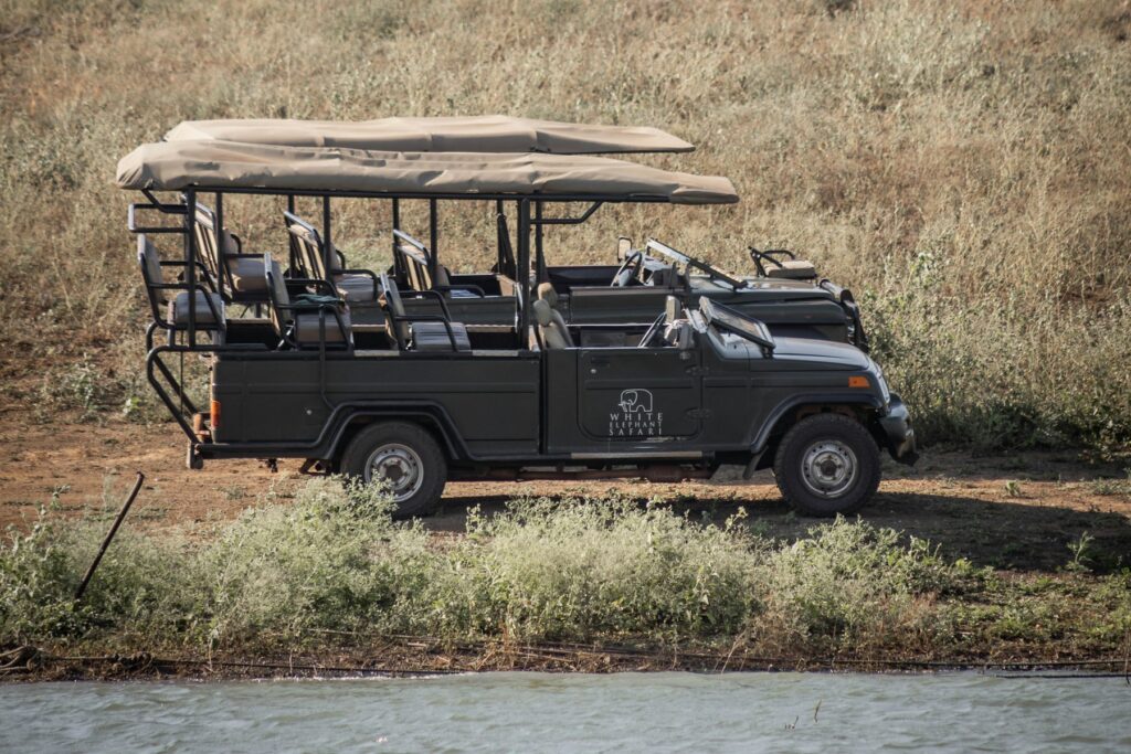 Guided drive in Etosha style safari vehicle paused in grassland