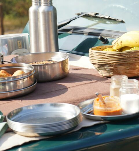 Simple early game drive breakfast arranged beside a safari vehicle
