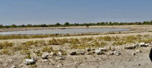 Okaukuejo or Namutoni comparison with an Etosha waterhole