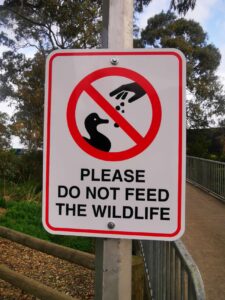 Never feed wildlife in Etosha reminder sign