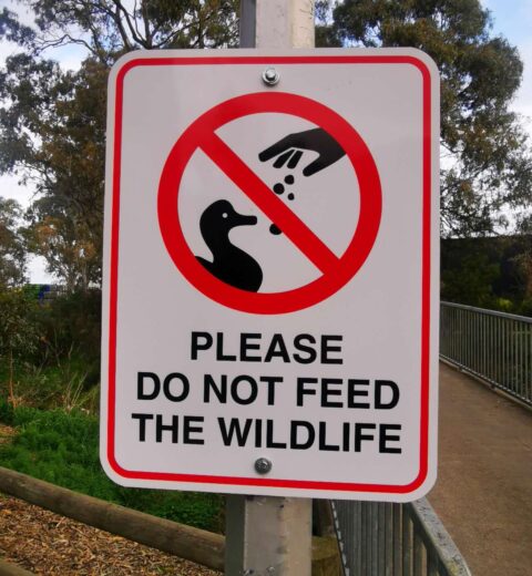 Never feed wildlife in Etosha reminder sign