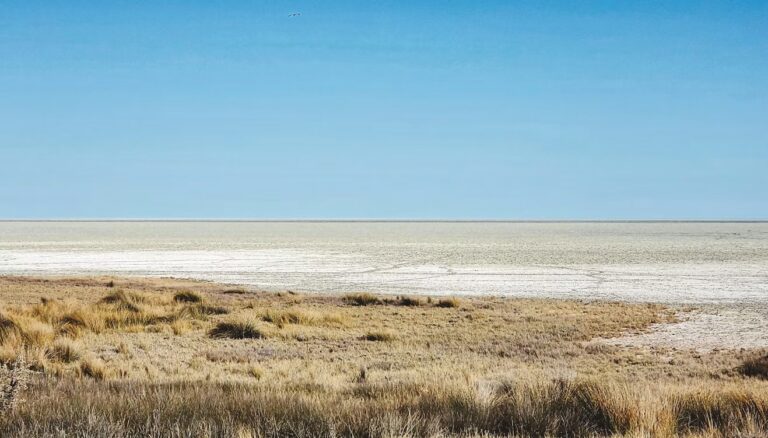 Plan your Etosha trip