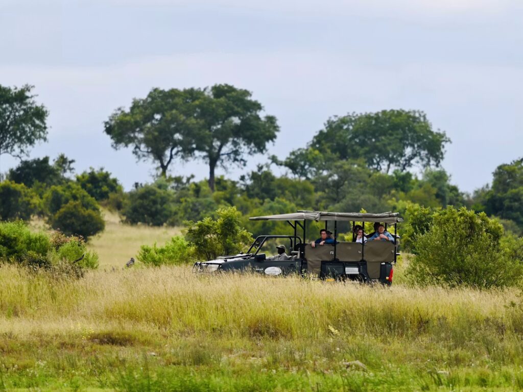 Etosha with teenagers on a guided safari vehicle