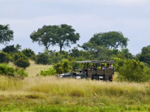 Etosha with teenagers on a guided safari vehicle