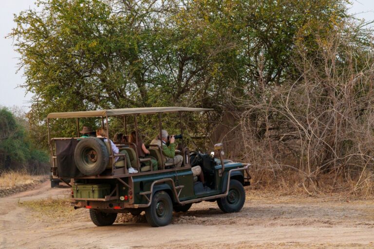 Etosha car window photography from a safari vehicle using a stable shooting position