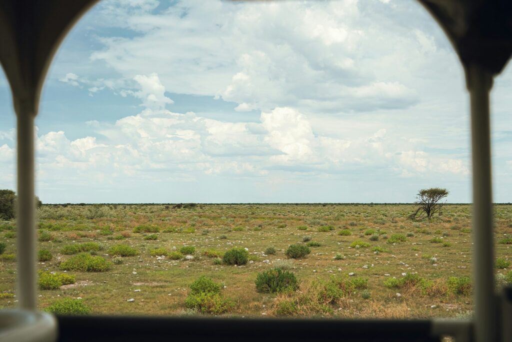 Etosha shoulder season with clouds over open savanna and scattered trees