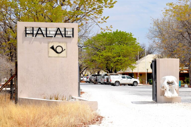 Etosha campsite packing guide illustrated by Halali Camp in Etosha National Park