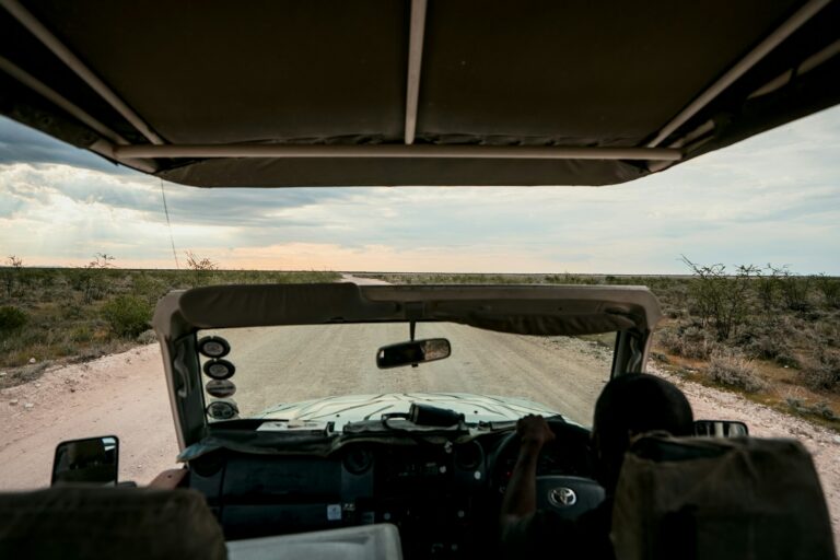 Etosha game drive view from a safari vehicle travelling through dry savanna