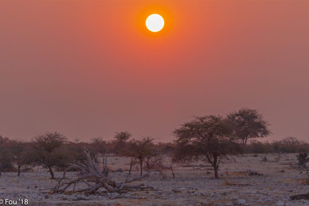 Cold mornings in Etosha begin with layered clothing for a sunrise game drive