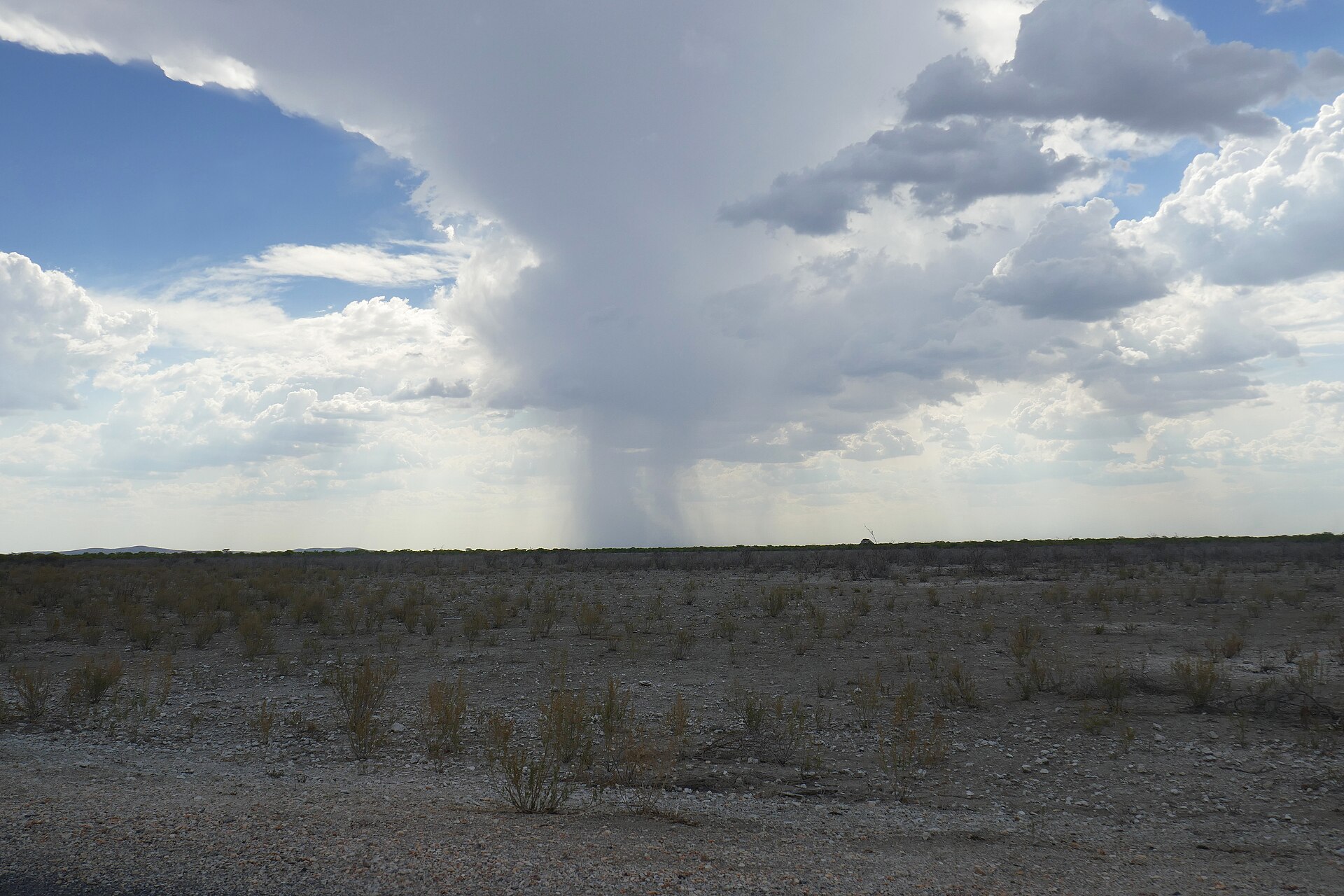 cloudy weather photography in Etosha — Rain clouds illustrating cloudy weather photography in Etosha