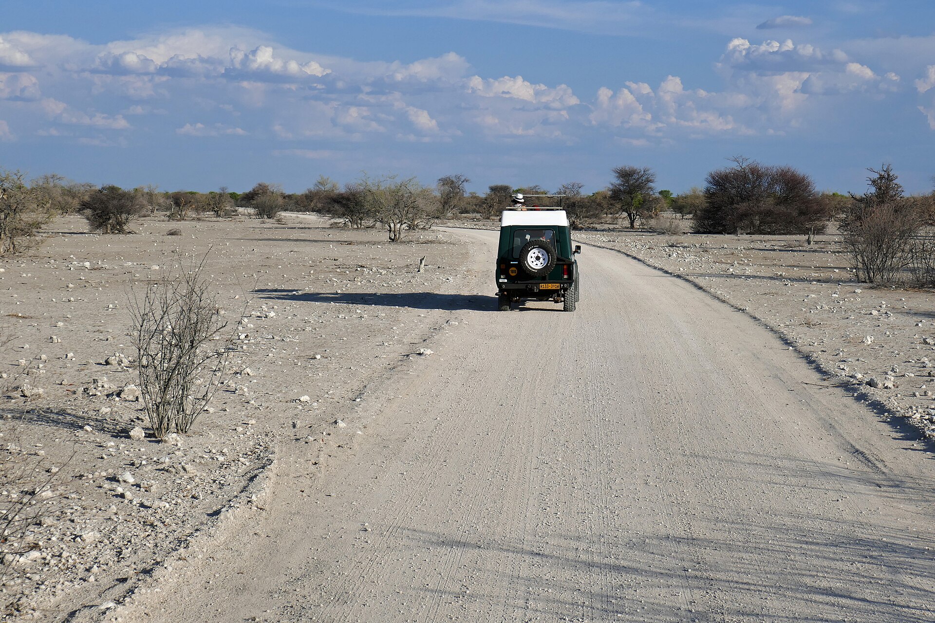 five nights in Etosha — Land Cruiser on a measured five nights in Etosha itinerary