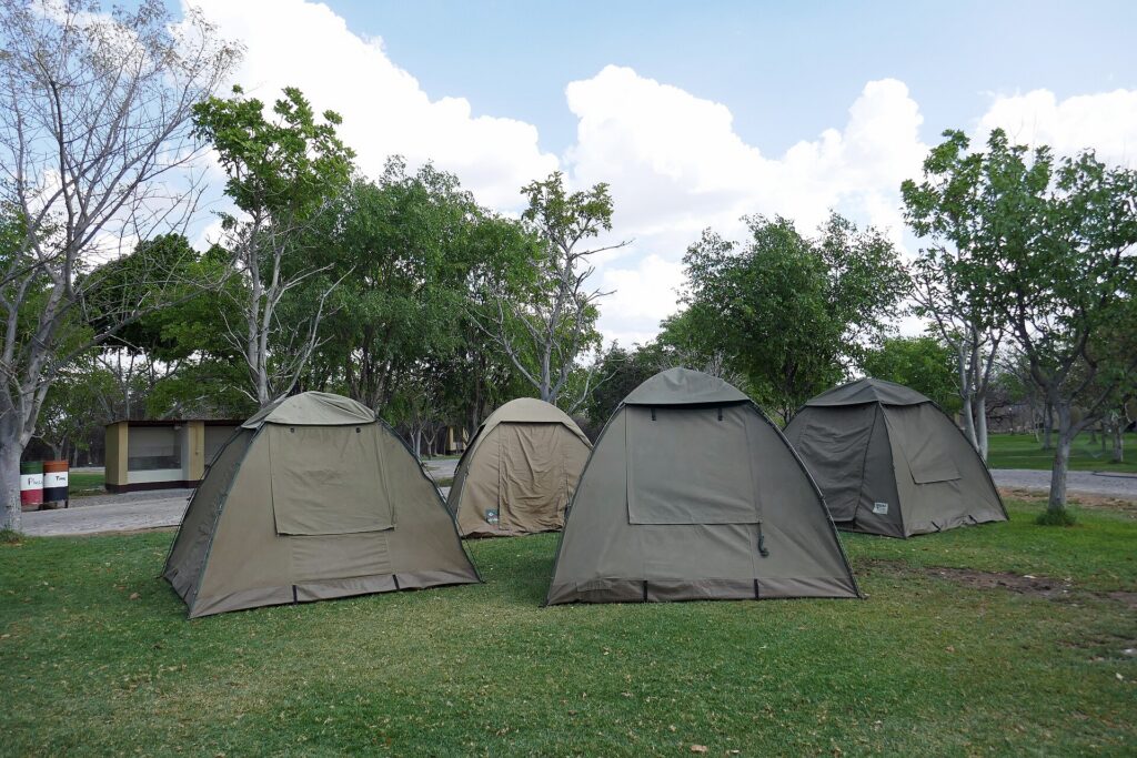 Etosha lodge setting for comparing self-catering vs full-board Etosha stays