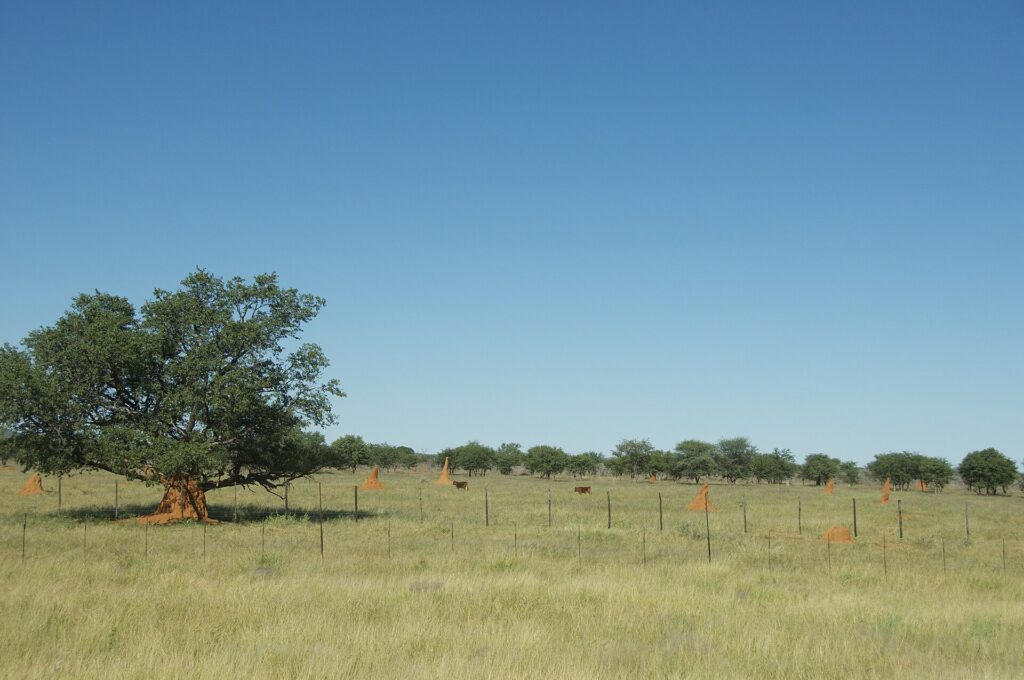Open landscape on an Etosha and Kaokoland route
