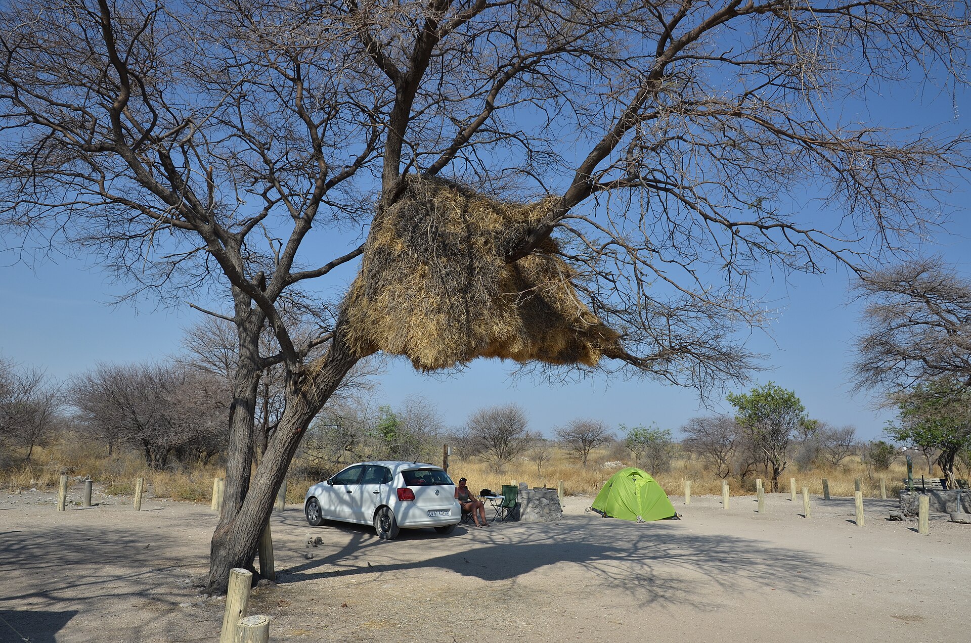 Etosha campsite vs budget room — Etosha campsite at Okaukuejo for comparing camping with a budget room