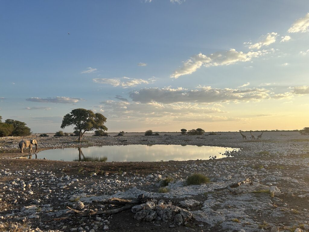Okaukuejo waterhole at dawn for a one-day game-drive plan