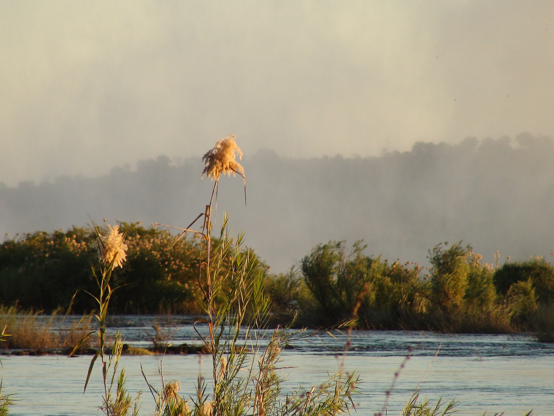 Etosha and Zambezi self-drive — Zambezi River landscape